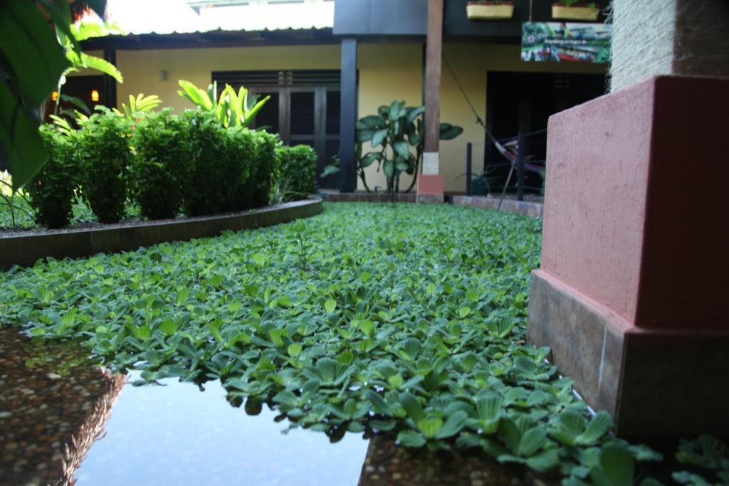 Hotel Amazon Bed And Breakfast Leticia Exterior photo